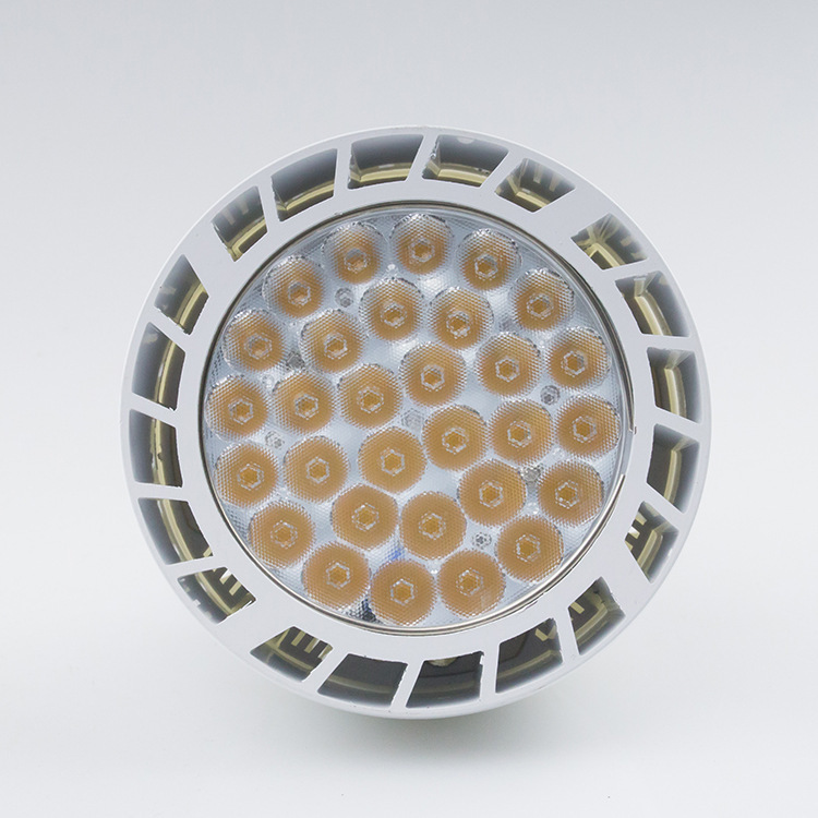 滿天星PAR30 光源